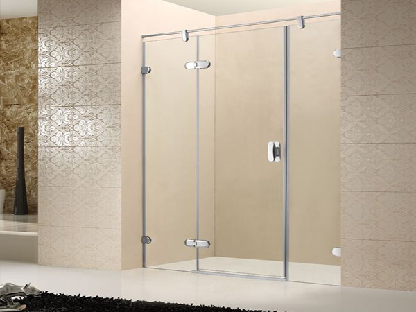 Shower room door